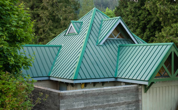 Best Asphalt Shingle Roofing  in Fraser, MI